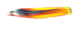 D SHACKLE ELECTRIC SALMON