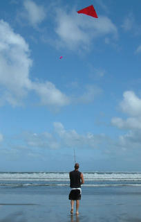 Paul's Fishing Kites Flexiwing Kite