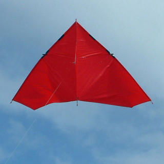 Paul's Fishing Kites Nighthawk Kite