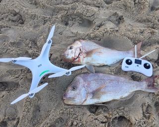 Fishing Drones