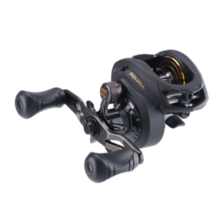  PENN Squall II Lever Drag Fishing Reel, Size 40, Graphite Body  and Sideplates, Stainless Steel Main and Pinion Gears, Powerful PENN  Dura-Drag : Sports & Outdoors