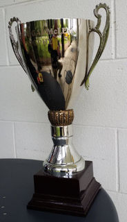 Dougal McLean Interprovincial Trophy