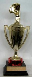 Albert Stern Cup
