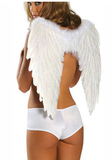 Sexy Lingerie's Angel Wings