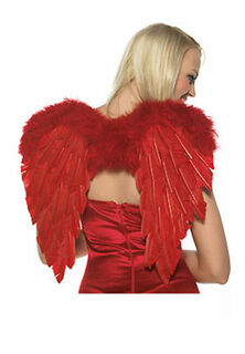 Sexy Lingerie's  Devil Angel Wings