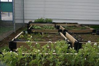 Raised Garden/Planter Box School Projects