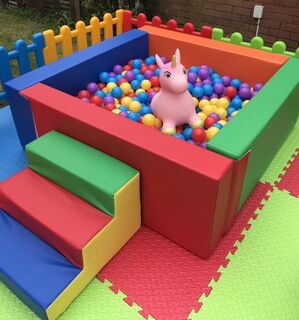 Ball Pit - Hire Price $200