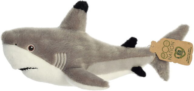 Blacktip Shark