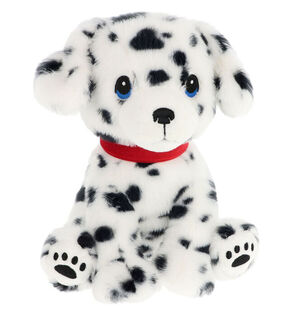 Dalmatian Puppy