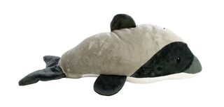 Hugo the Hector's Dolphin