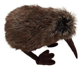 NZ Made Kiwi