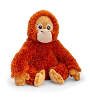 Orangutan