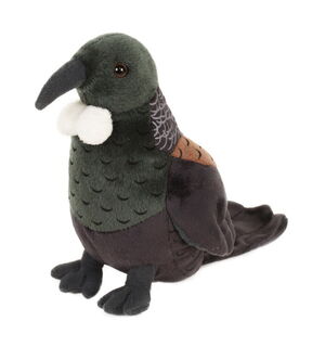 Tui Bird with Sound