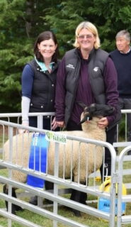 First placed interbreed ewe lamb, Hawarden Show 2018