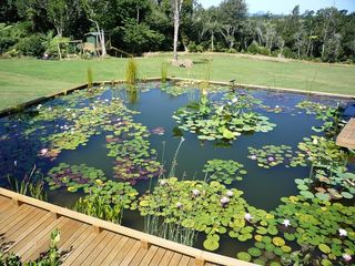 Water gardening product to enhance your pond or water feature