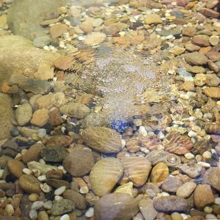 Solar Air pumps for pond & aquarium aeration