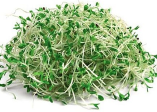 Sprouts - Broccoli - 50g