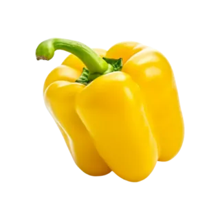 Capsicum - Yellow