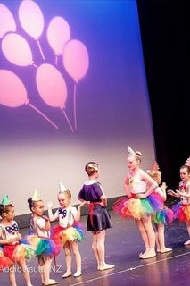 Ballet Tutu Skirts for Group Performances