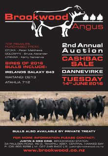 2nd Annual Bull Sale- June 14th 2016