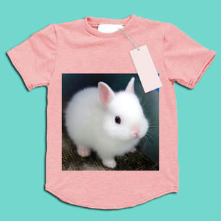 Example Bunny