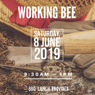 Titoki Working Bee | Saturday, 8 June 2019