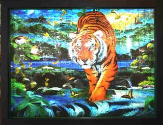 Tiger puzzle with two frames