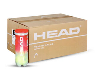 Head Championship 3 Ball Carton