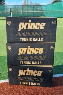 Prince Championship Ball 3 Carton Bundle