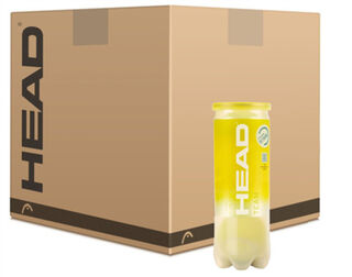 Head Team Tennis Ball Carton 3 Can