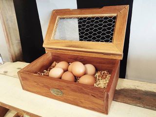 Egg Boxes