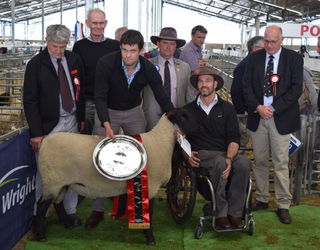 Champion Meat breed Sheep, Teresa and Stu Sinclair, Little River Stud