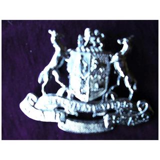 Vintage South African Railways Coat of Arms Badge
