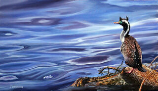 Shag on a Log - $700