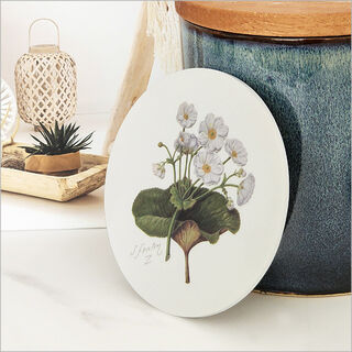 Coaster Single Printed : Sarah Featon Mountain Lily