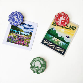 Magnet Pop-Out: Circle NZ Birds Set