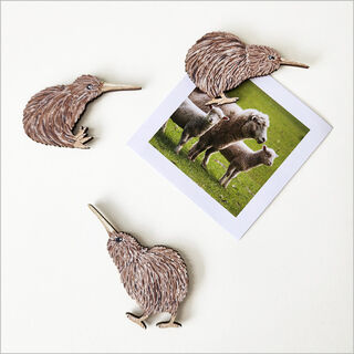 Magnet Pop-Out: Kiwis Set