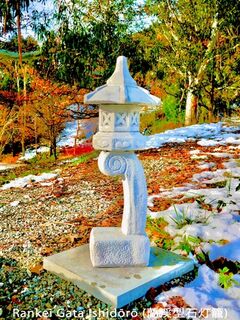 Japanese Lantern in Central Otago garden