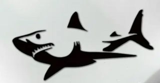 Shark Decal Waterproof