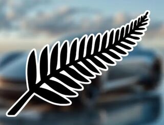 NZ Fern Vinyl Decal