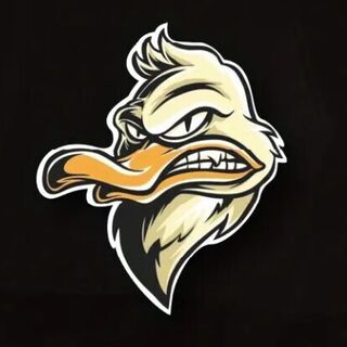 Waterproof Mean Duck Decal