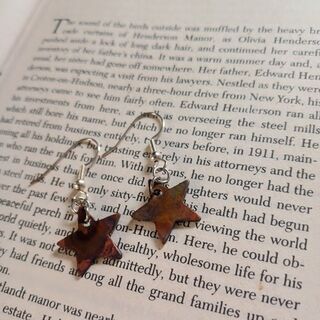 Fire Painted Copper Earrings (2)