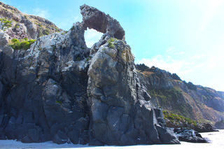 Aramoana beach