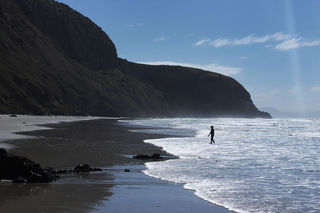 Aramoana beach