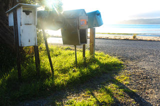 Entrance to Andrew & Bronnie's driveway in Aramoana