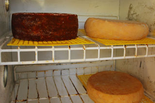 Some of the handcrafted goats cheeses during aging