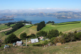 View from the top of Johanna's farm on Mt Cargill looking down to the house and sheds