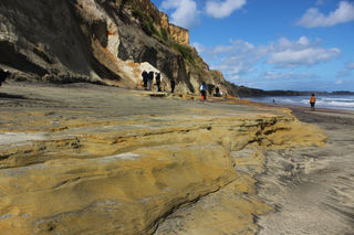 Getting distracted by some of the many Gemstone beach sights