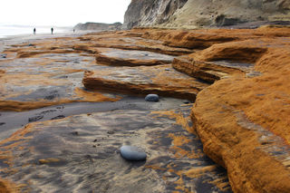 Getting distracted by some of the many Gemstone beach sights