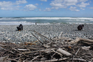 Gemstone fossicking, Orepuke beach